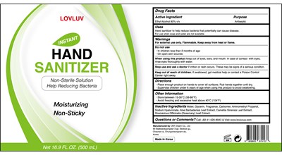 500ml Active Ingredient (Lovluv Instant Hand Sanitizer 500 mL Gel Type)
